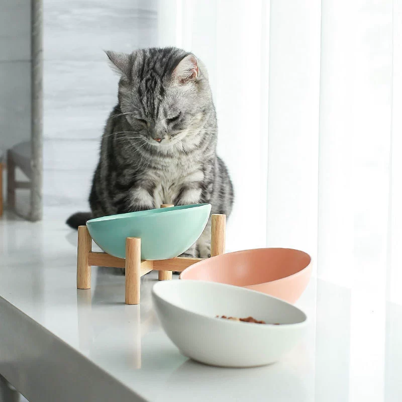 陶瓷猫碗狗碗狗狗盆猫食盆猫咪粮碗保护颈椎斜口猫饮水碗宠物用品 - 图片 2