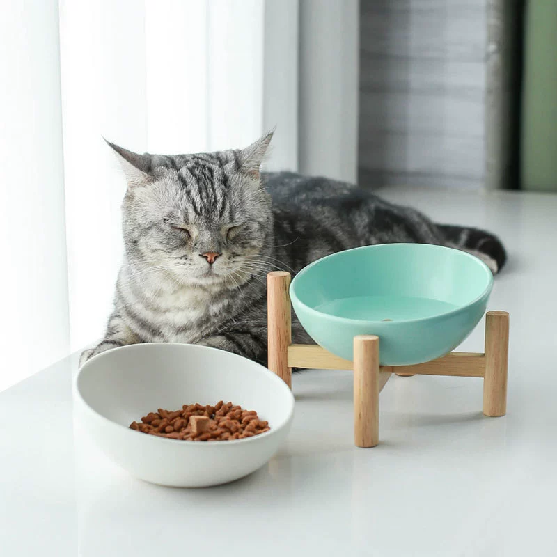 陶瓷猫碗狗碗狗狗盆猫食盆猫咪粮碗保护颈椎斜口猫饮水碗宠物用品 - 图片 3